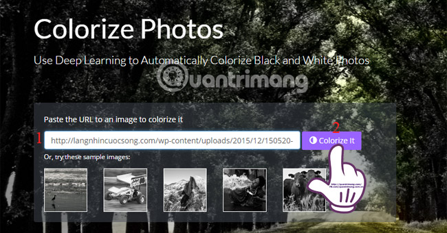 Convert black and white photos to color in the blink of an eye Picture 13