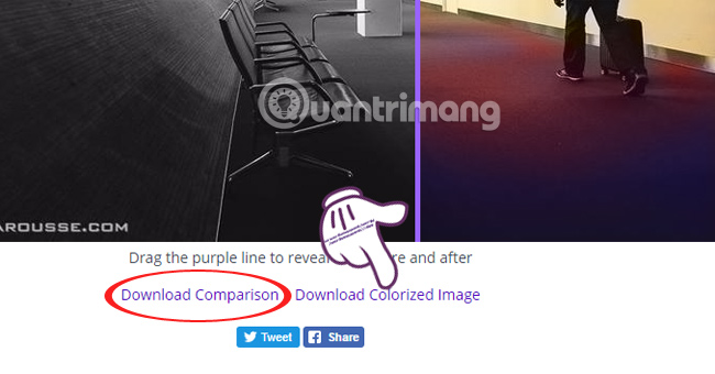 Convert black and white photos to color in the blink of an eye Picture 16