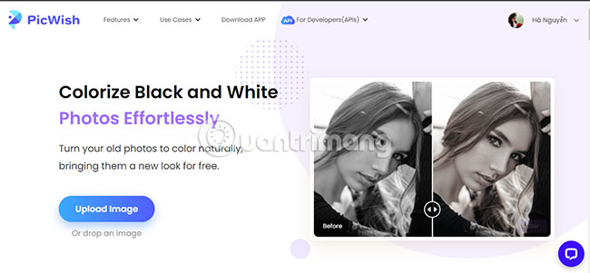 Convert black and white photos to color in the blink of an eye Picture 17