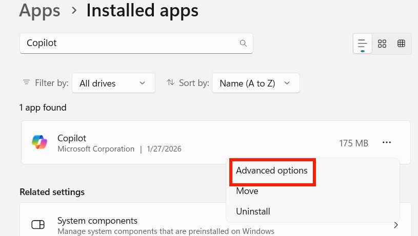 Fixes the issue where details from Copilot are not working. Picture 1