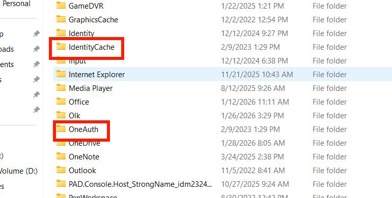 Fixes the issue where details from Copilot are not working. Picture 4