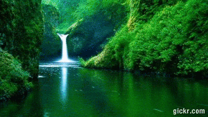 Picture 4 of Create animated images online using Gickr.