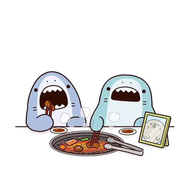 Picture 28 of Cute Shark Wallpapers, cute shark background images