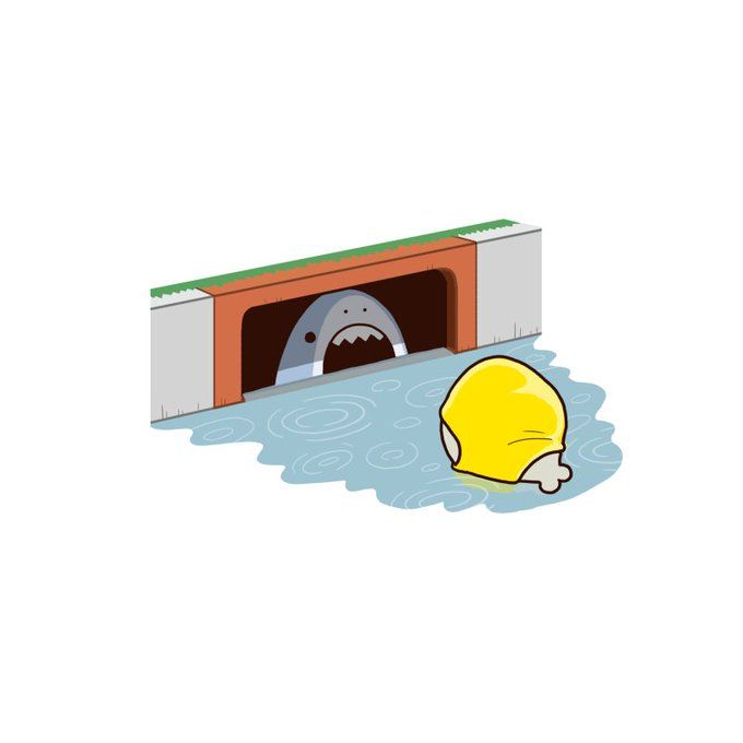 Picture 49 of Cute Shark Wallpapers, cute shark background images