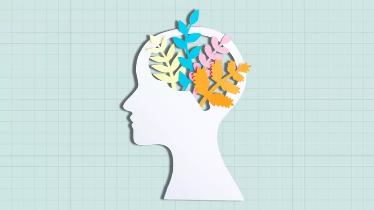 Daily habits that can prevent memory loss Picture 2