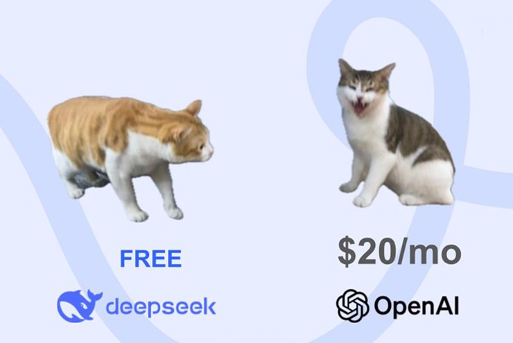 Decoding the 'distillation' technique that brought DeepSeek success Picture 3