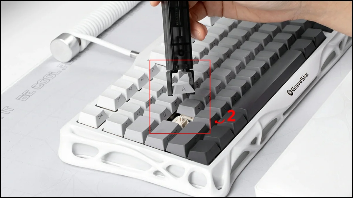 Picture 3 of Detailed instructions on how to safely and cleanly disassemble a mechanical keyboard.