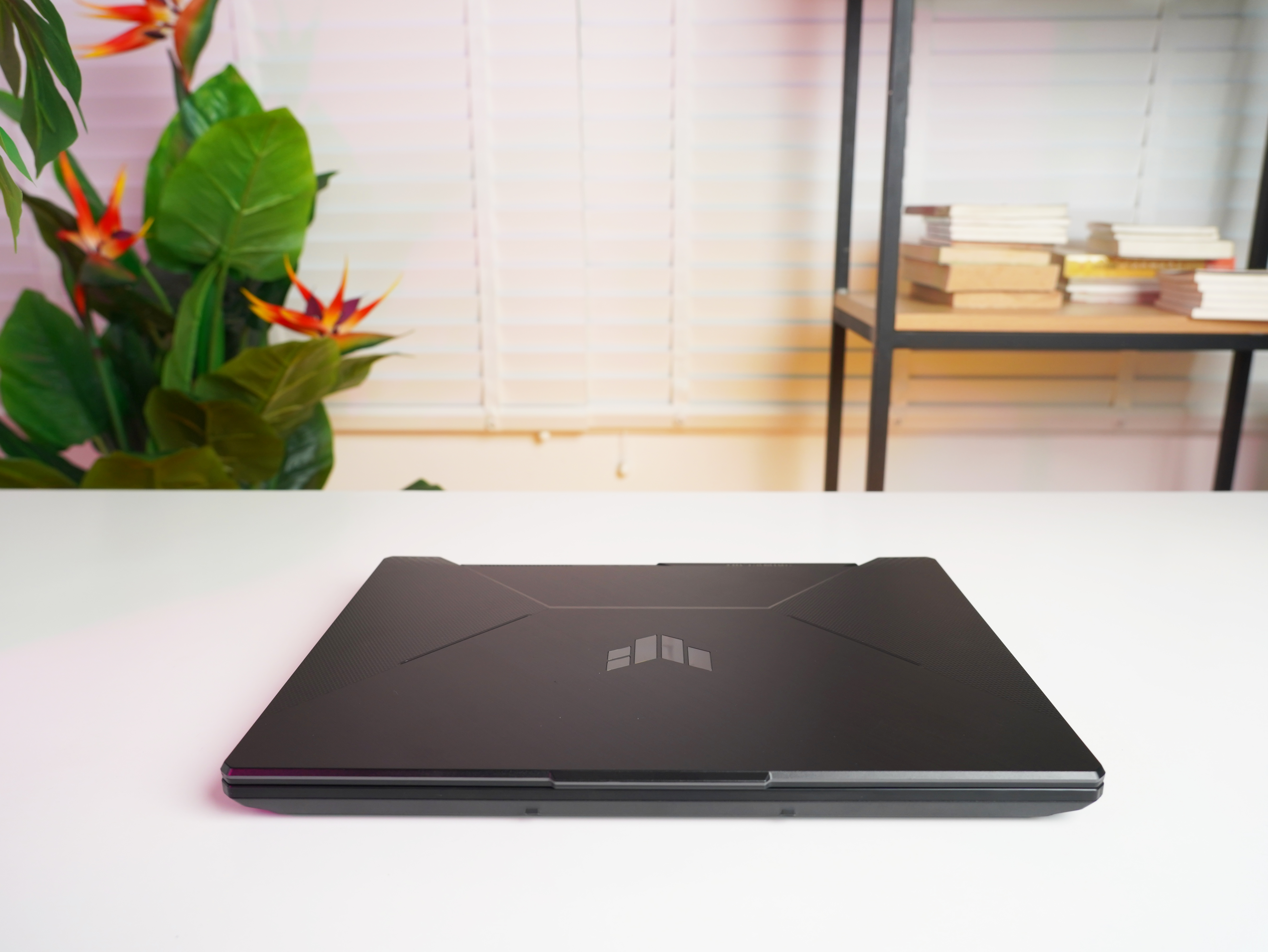 Detailed review of ASUS TUF Gaming A15: Too good for the price Picture 6