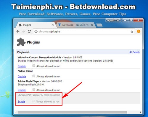 Picture 3 of Disable PDF reader functionality on Google Chrome.