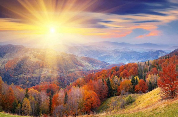 Picture 35 of Download beautiful, cool, cute and adorable Facebook wallpapers.