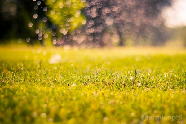 Picture 36 of Download beautiful, cool, cute and adorable Facebook wallpapers.