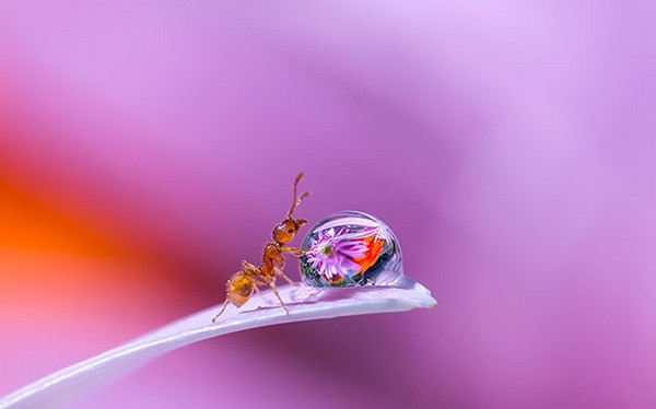 Picture 37 of Download beautiful, cool, cute and adorable Facebook wallpapers.