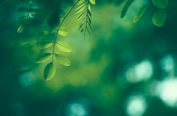 Picture 38 of Download beautiful, cool, cute and adorable Facebook wallpapers.