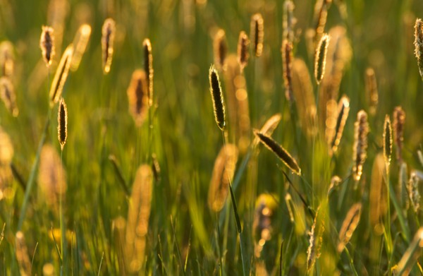 Picture 39 of Download beautiful, cool, cute and adorable Facebook wallpapers.