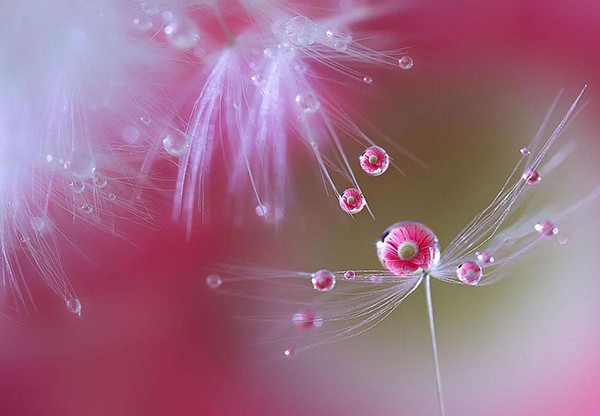 Picture 40 of Download beautiful, cool, cute and adorable Facebook wallpapers.