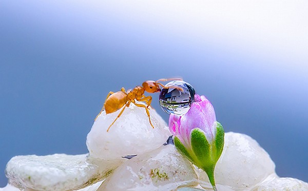 Picture 41 of Download beautiful, cool, cute and adorable Facebook wallpapers.