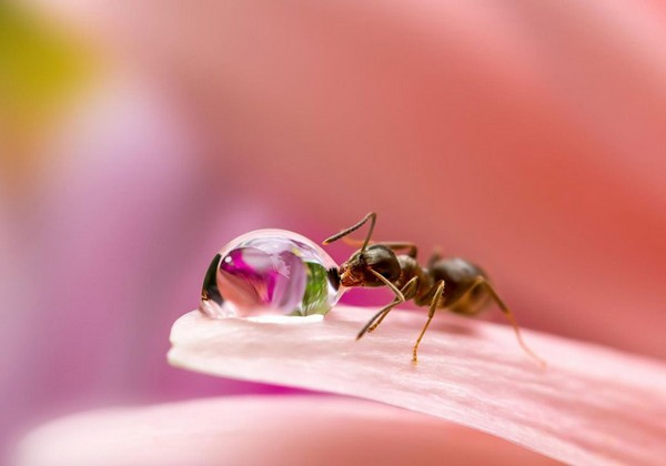 Picture 42 of Download beautiful, cool, cute and adorable Facebook wallpapers.