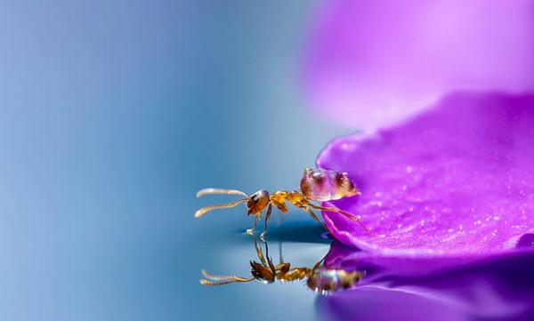 Picture 43 of Download beautiful, cool, cute and adorable Facebook wallpapers.