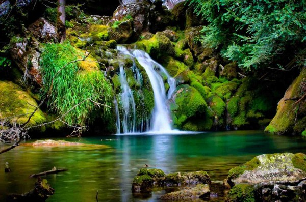 Picture 44 of Download beautiful, cool, cute and adorable Facebook wallpapers.