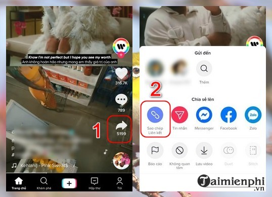 Download videos on Tiktok without logo on iPhone, Android and PC Picture 1