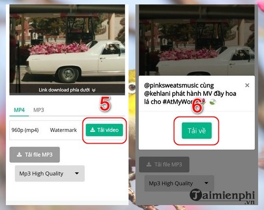 Download videos on Tiktok without logo on iPhone, Android and PC Picture 3