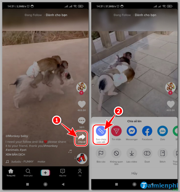 Download videos on Tiktok without logo on iPhone, Android and PC Picture 9