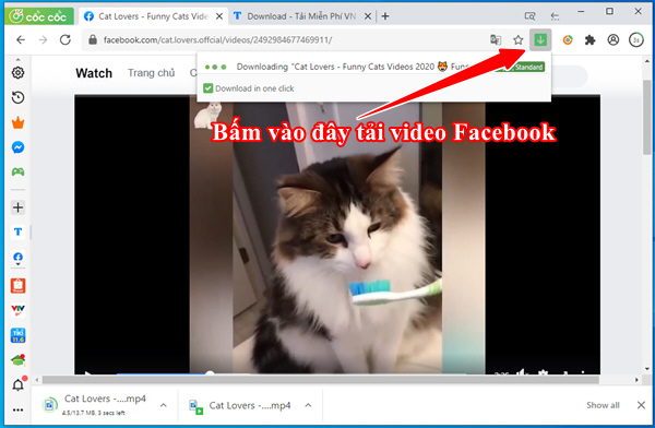 Downloading Facebook videos to your phone and computer is super easy Picture 19