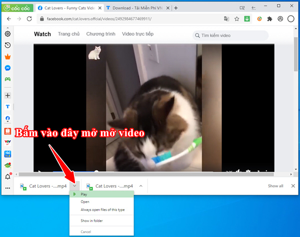 Downloading Facebook videos to your phone and computer is super easy Picture 20