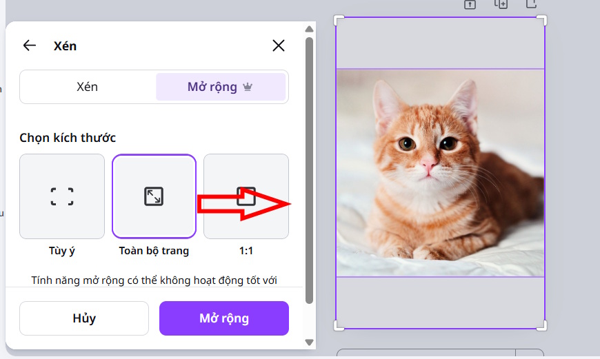 Enlarge sharp images with Magic Expand on Canva AI. Picture 4