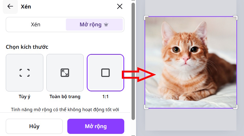 Enlarge sharp images with Magic Expand on Canva AI. Picture 5
