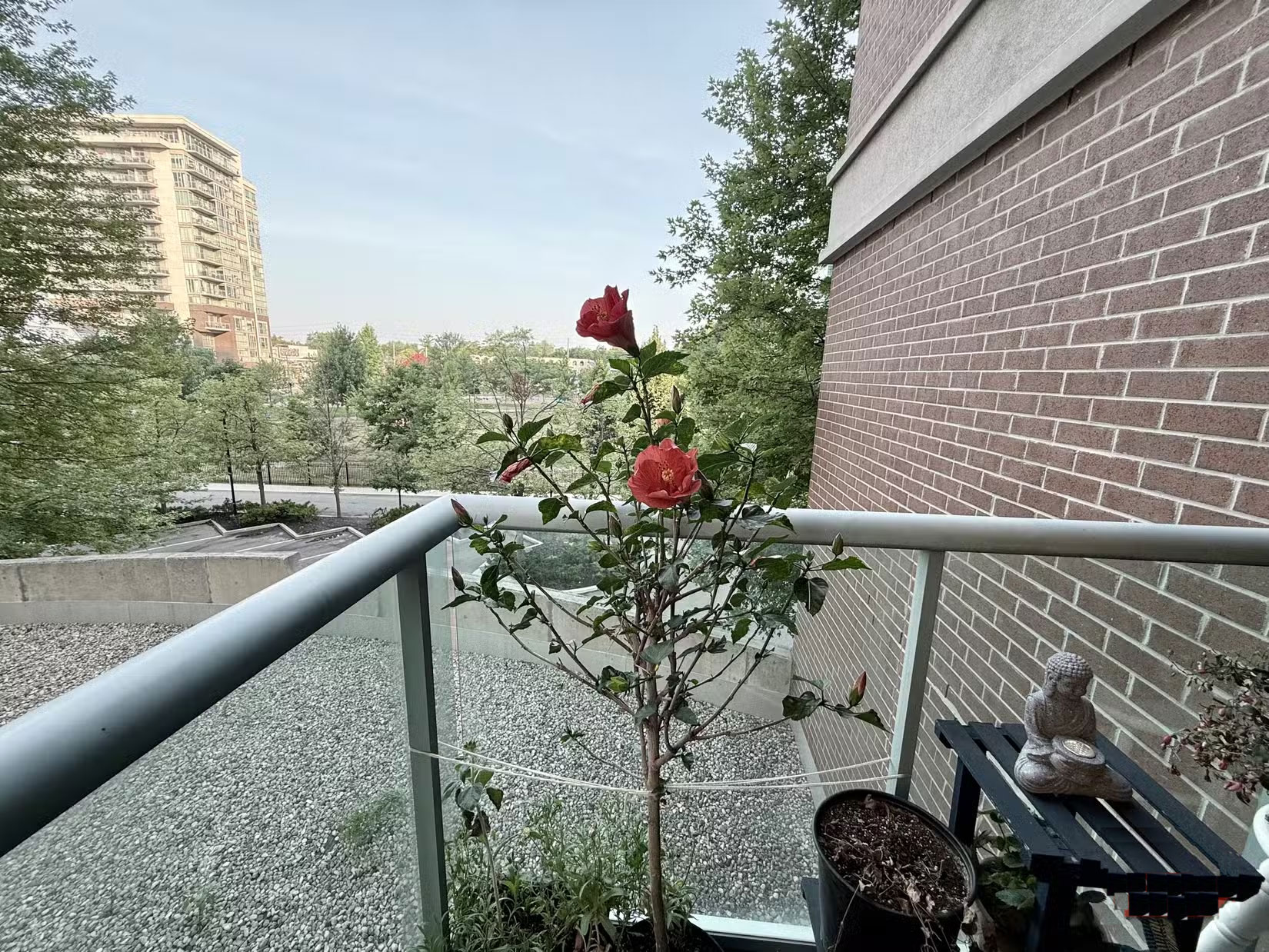 This Zoom Mistake Is Ruining Your Photos Picture 1