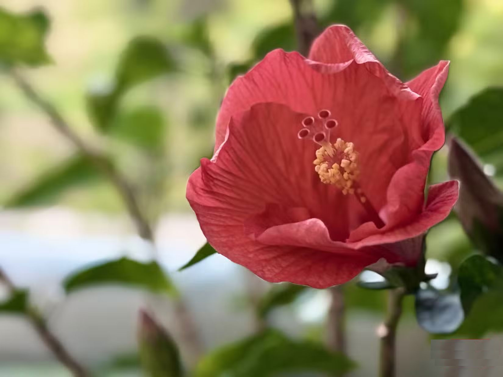 This Zoom Mistake Is Ruining Your Photos Picture 2