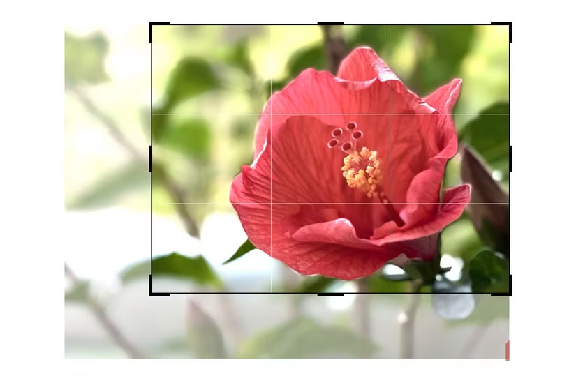 This Zoom Mistake Is Ruining Your Photos Picture 4