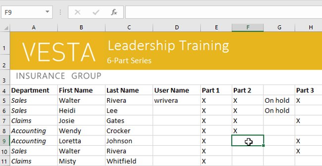 Excel 2016 - Lesson 5: Basic concepts of cells and ranges Picture 10