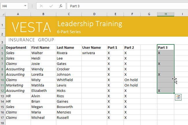Excel 2016 - Lesson 5: Basic concepts of cells and ranges Picture 28