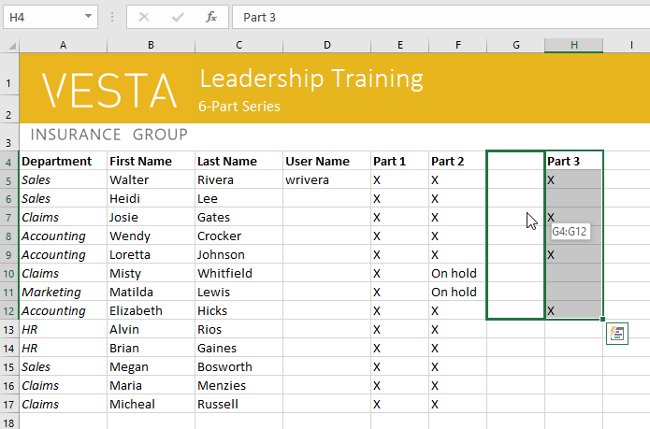 Excel 2016 - Lesson 5: Basic concepts of cells and ranges Picture 29
