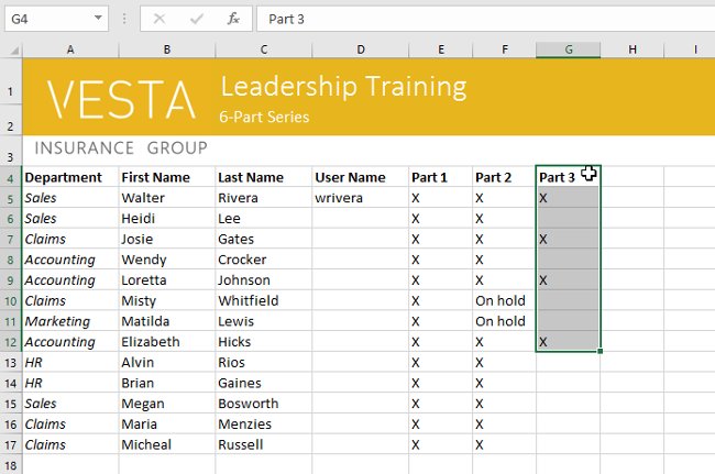 Excel 2016 - Lesson 5: Basic concepts of cells and ranges Picture 30
