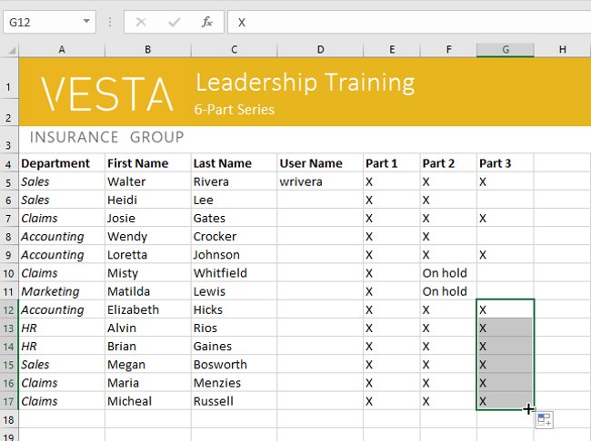 Excel 2016 - Lesson 5: Basic concepts of cells and ranges Picture 33