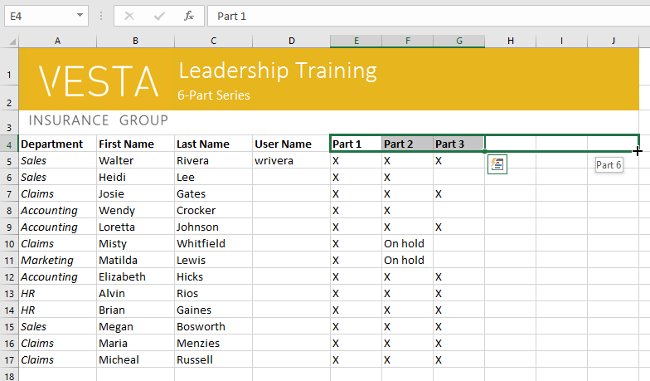 Excel 2016 - Lesson 5: Basic concepts of cells and ranges Picture 34