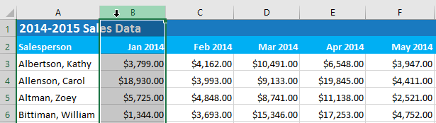 Picture 4 of Excel 2019 (Part 17): Fixing Rows/Columns and Viewing Options