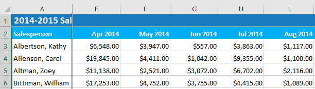 Picture 6 of Excel 2019 (Part 17): Fixing Rows/Columns and Viewing Options