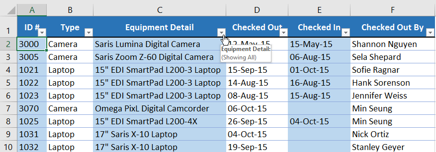 Picture 15 of Excel 2019 (Part 19): Filtering Data