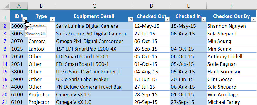 Picture 22 of Excel 2019 (Part 19): Filtering Data