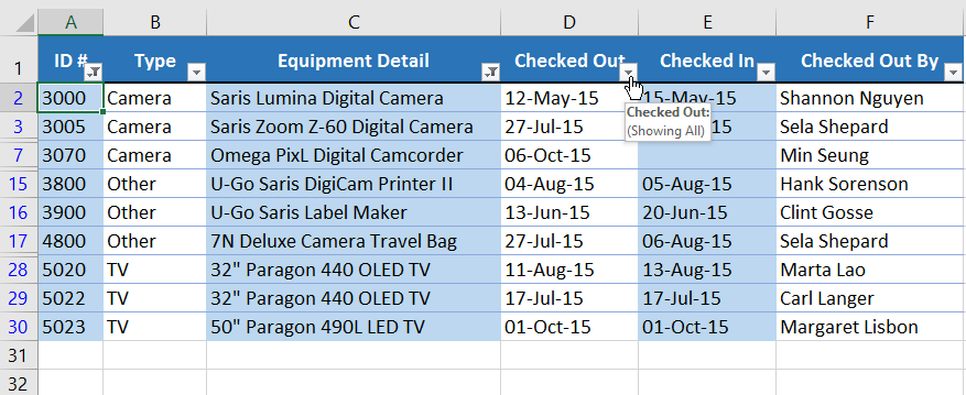 Picture 26 of Excel 2019 (Part 19): Filtering Data