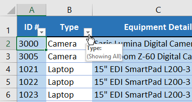 Picture 3 of Excel 2019 (Part 19): Filtering Data