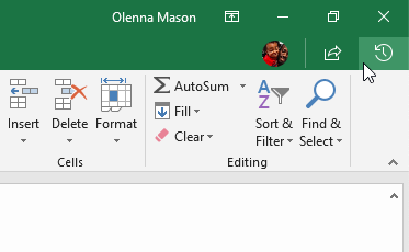 Picture 20 of Excel 2019 (Part 24): Comments and Co-authors