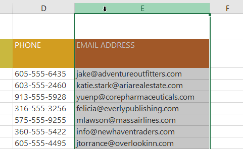 Picture 16 of Excel 2019 (Part 5): Modifying Columns, Rows, and Cells