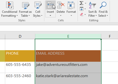 Picture 17 of Excel 2019 (Part 5): Modifying Columns, Rows, and Cells