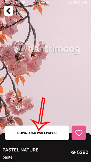 Experience Papers Wallpapers beautiful iPhone wallpaper app Picture 16