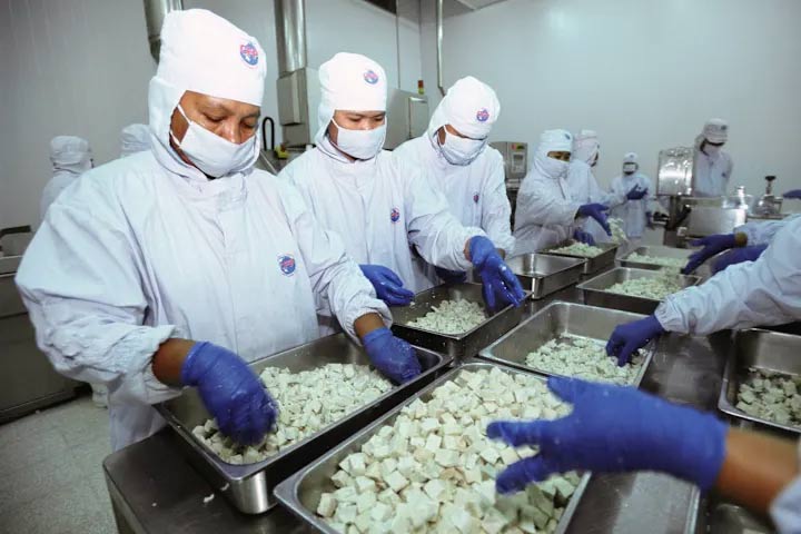 Facts about bird flu you need to know Picture 2